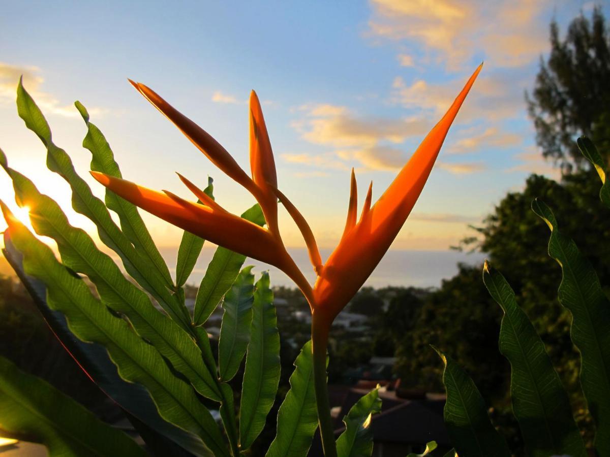 Bounty Lodge Tahiti Arue  Kültér fotó
